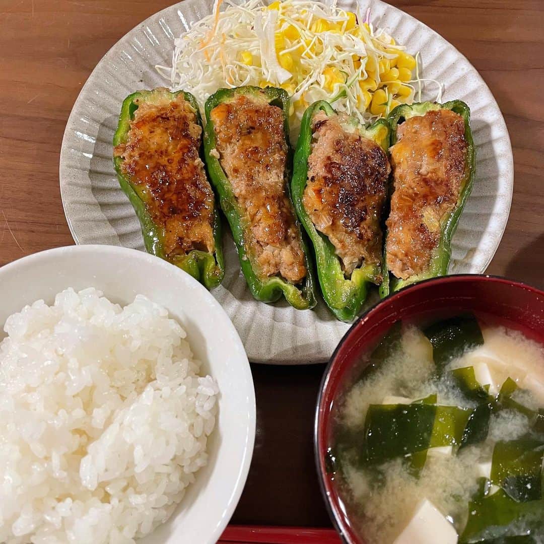 南條早紀のインスタグラム：「お家ごはん🏡  今週のフルサタ！肉特集✨ ということで なんだか無性にピーマンの肉詰めが 食べたくなったので作ったときの🫑  肉料理〜〜☺️💓  はんぺんを入れるとふっくらしっとり 仕上がるとネットで見て、実行！  肉がふわっふわになって感動したので、 普通すぎるごはんで恐れ入りますが 載せてみた🥺笑  かさ増しにもなるし、ヘルシーだし 節約にもダイエットにもよさそう😊💓  ソースは焼いたあとのフライパンで みりんと醤油と砂糖をぐつぐつして 甘辛く仕上げました😚  試したものが成功するとすごく嬉しいし、 情報教えてくれた人ありがとう…！ という気持ちに🥺❤️  この感動を共有できたら嬉しいです！🤗  #富山県 #富山市 #富山 #toyama #おうちごはん #おうち時間 #お家ご飯 #お家ご飯 #ご飯記録 #ごはん記録 #自炊 #自炊記録 #ピーマンの肉詰め #ピーマン #ピーマンの肉詰め #節約ごはん #節約レシピ #はんぺん #ダイエット #ダイエットメニュー #料理 #料理記録 #料理上手になりたい #頑張る #料理勉強中 #肉料理 #アナウンサー #南條早紀 #なんじょうのにちじょう #早紀飯」