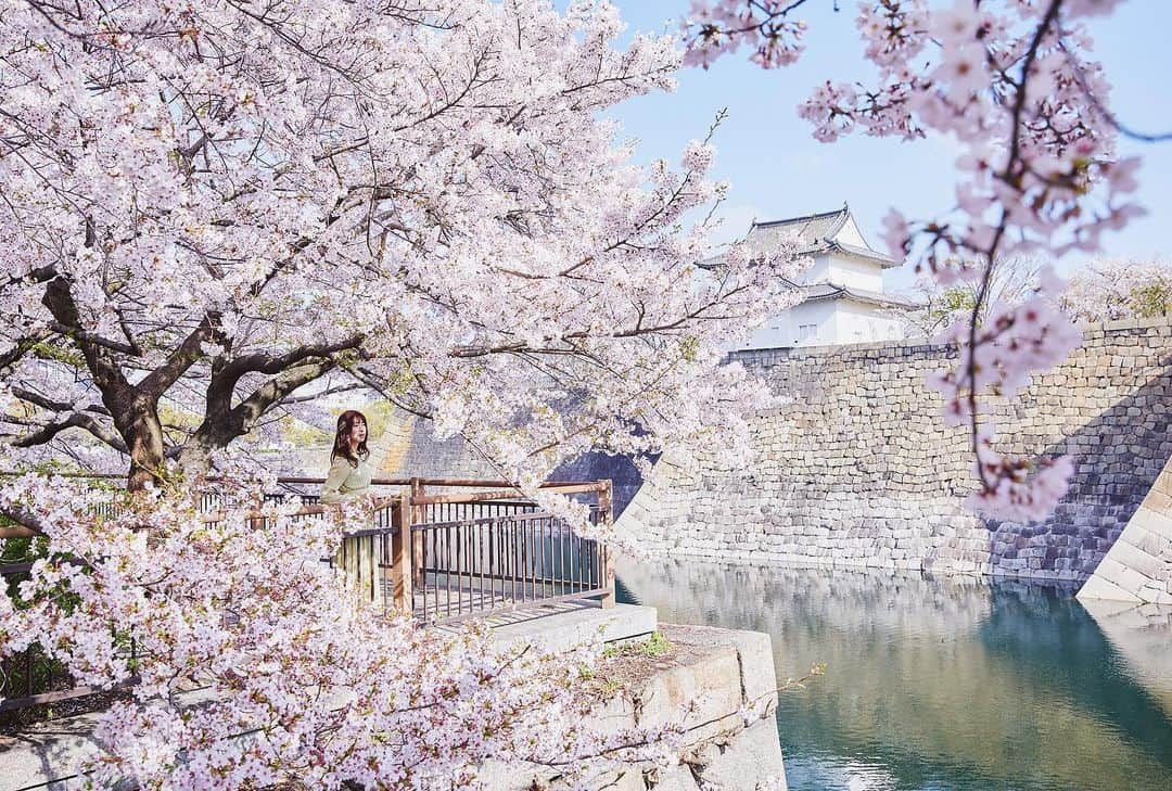 Najiiのインスタグラム：「Bloom - - 桜 - - #instagramjapan #tokyo_grapher  #tokyocameraclub #東京カメラ部 #mycanon #canonasia #lovers_nippon #visitjapanjp #unknownjapan #thediscoverer #sakura #cherrytree #blossom #桜 #eos #my_eos_photo  #osaka #大阪 #大阪城」