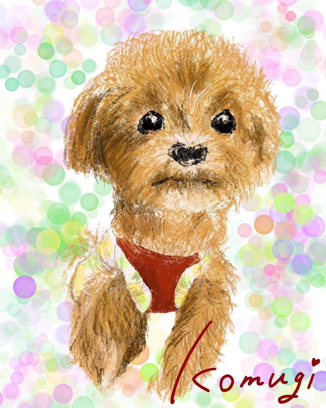 小日向えりのインスタグラム：「愛犬の小麦最近お散歩できるようになったよ。 ぐんぐん歩く！  大好き❤愛を込めて描きました。  #マルプー #犬イラスト」