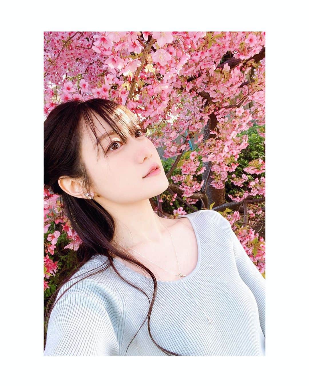 小倉唯さんのインスタグラム写真 - (小倉唯Instagram)「満開の桜と。。。🌸  ところで、 お腹すいたなぁ〜(´ｰ｀)。  #桜 #🌸 #sakura」4月15日 14時25分 - yui_ogura_official