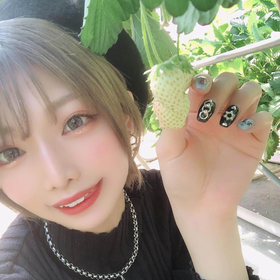 米倉みゆさんのインスタグラム写真 - (米倉みゆInstagram)「白苺だ！と思ったけど まだ赤くないだけだった…！😇🍓 · · · · · · · #いちご狩り #苺狩り #イチゴ狩り #美味しい #可愛い #可愛い女の子 #可愛い子 #可愛い💕 #かわいい女の子 #美人 #美女 #美脚 #笑顔 #笑顔が可愛い #アイドル #モデル #被写体 #ポートレート #ショートヘア #ショートカット #ボブアレンジ #ファッション #ネイルデザイン #ジェルネイル  #japanesegirl #follow #like #love #cute #nail」4月15日 18時09分 - yone__miyu630