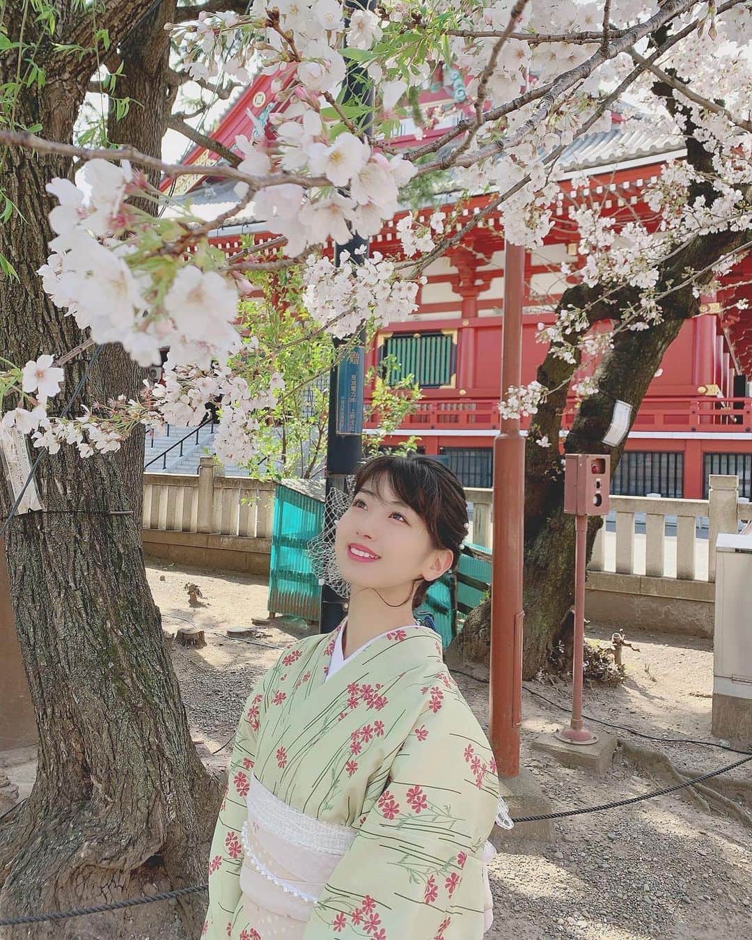 のインスタグラム：「#throwback 🌸👘🌸👘💗 この時ほんといいタイミングで桜見れてよかった♡ . . #浅草 #浅草寺 #浅草食べ歩き #着物 #桜 #sakura #さくら #asakusa #sensoji #sensojitemple」