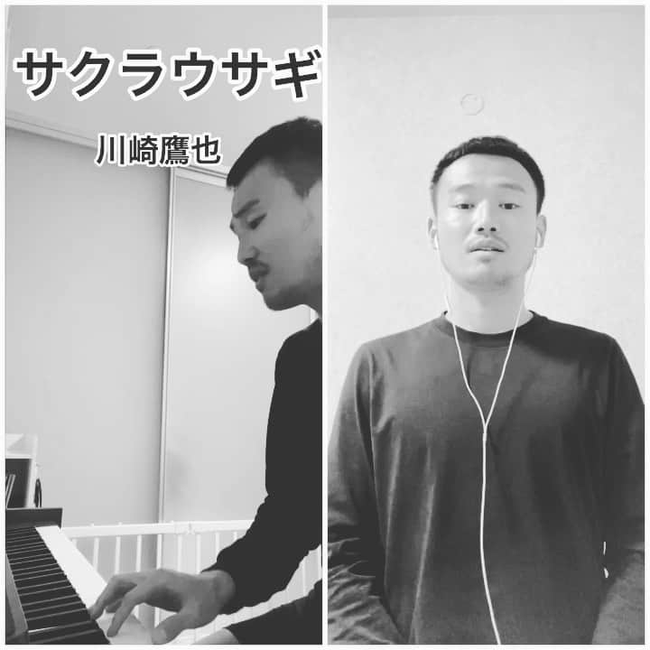 のインスタグラム：「#サクラウサギ  #川崎鷹也  #歌ってみた  鳥栖はもう桜も散りました。 卒業式もおわり、入学式も終わったみたいですね。　 #今日が人生で一番若い日  #両学長   頑張ります！」