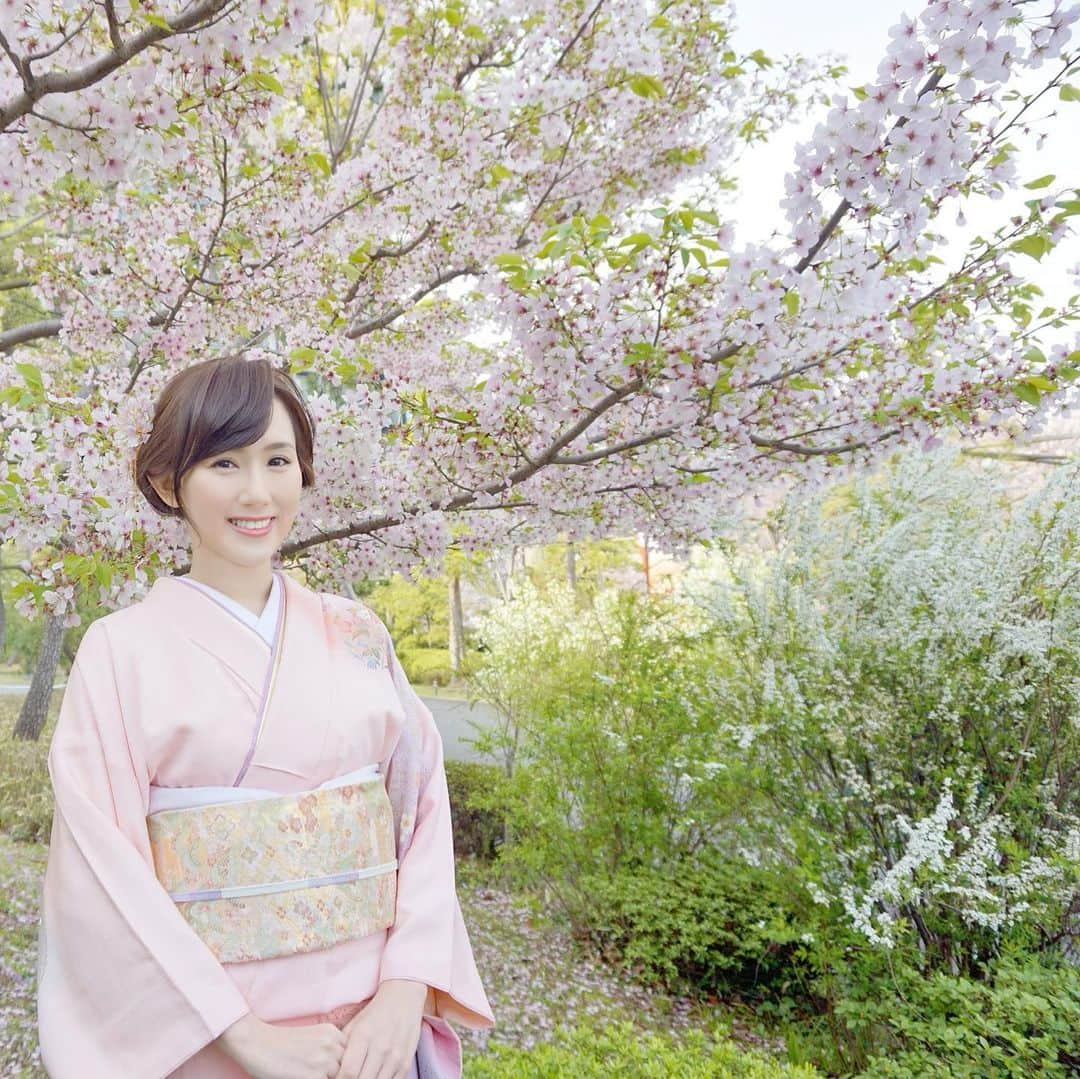 谷中麻里衣のインスタグラム：「Cherry blossoms 🥰  桜色の訪問着と自作の簪で🌸 帯留も桜だったのに落としちゃったみたい🥺 @kanzashi_marie   #着物#訪問着#母の着物#桜#簪#かんざし」