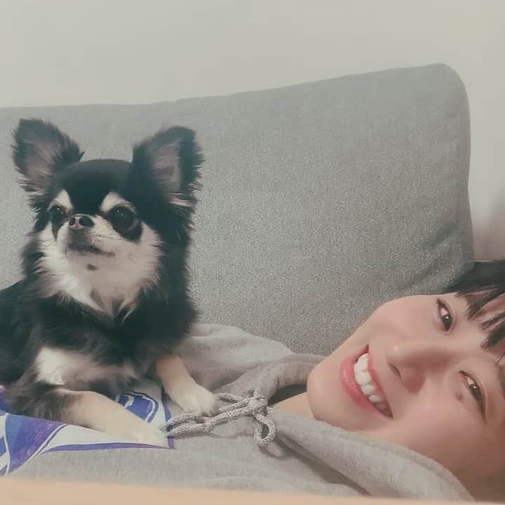 のインスタグラム：「行く？っていうと散歩だと勘違いしてピクッてなるイッヌ🐶」
