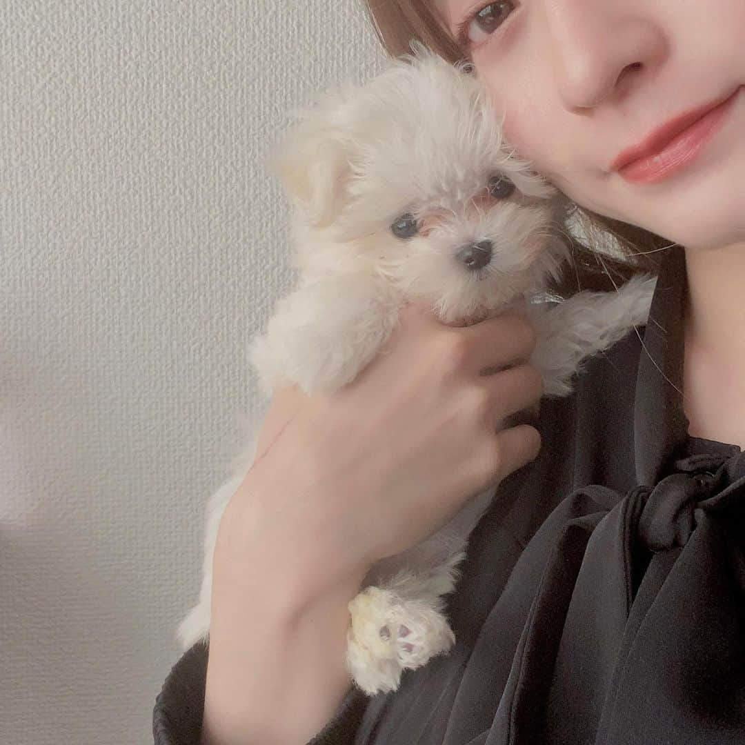 renさんのインスタグラム写真 - (renInstagram)「・ ・ あーーーーー(((悶絶 🐶 ・ ・」4月15日 22時29分 - _reeen_