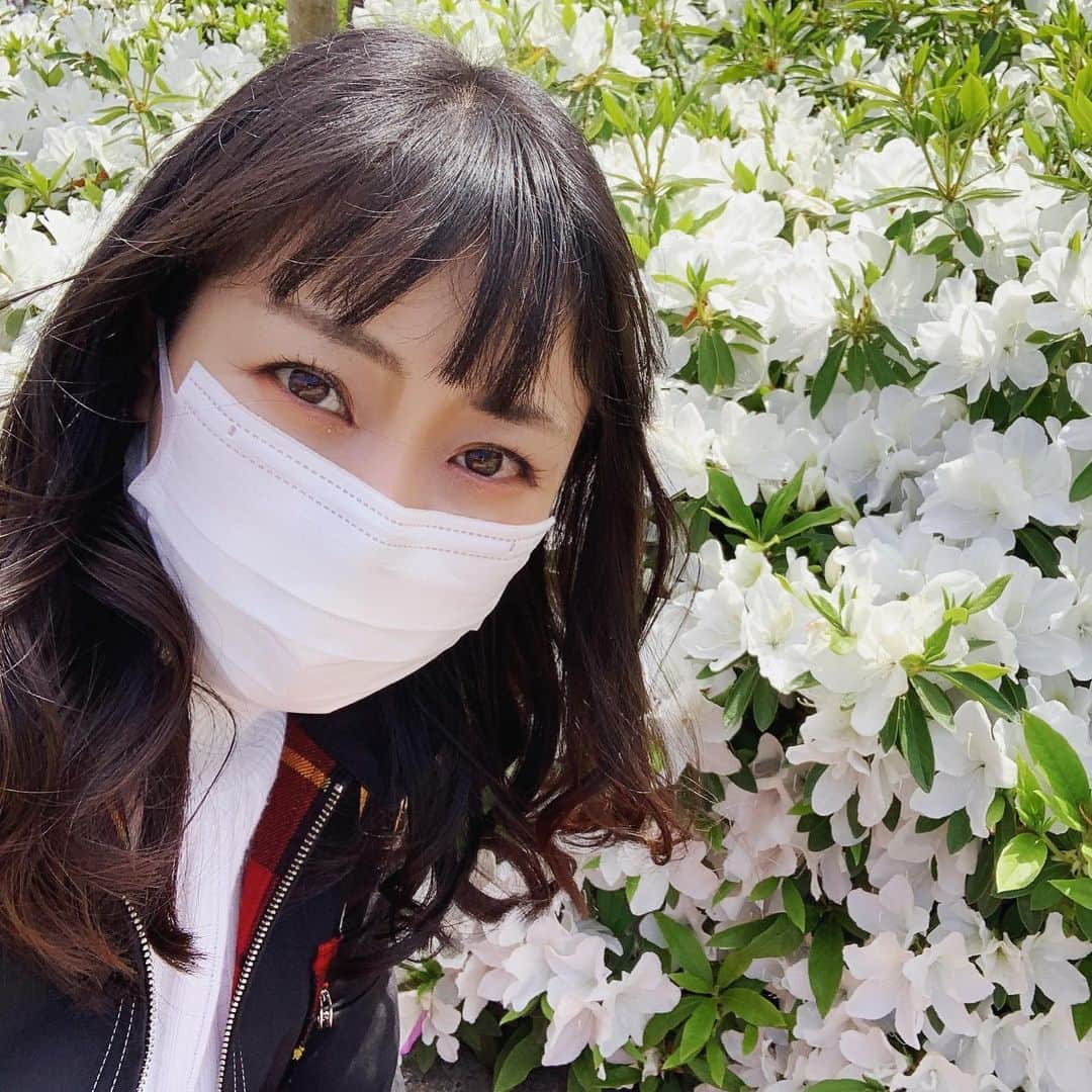 高橋沙織さんのインスタグラム写真 - (高橋沙織Instagram)「白いツツジが素敵すぎた。 清純な私にぴったりね。 ...え？  #アルミカン高橋 #ツツジ #躑躅 #春 #春爛漫 #春大好き」4月16日 0時29分 - arumikan_saorin