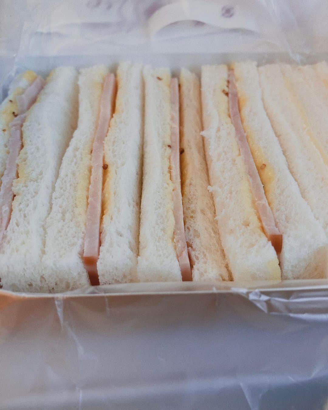 藤木由貴さんのインスタグラム写真 - (藤木由貴Instagram)「今週は少し移動が多かったので、もう少し時間を上手く使いたかったな。 でも最近色々考える機会を頂いてるおかげで自分のやりたい欲が増えました✨　先に繋がりますように。 . #日本初のサンドイッチ  #サンドウイッチ #駅弁 #tokyo #sandwich」4月16日 0時38分 - yuki.grm