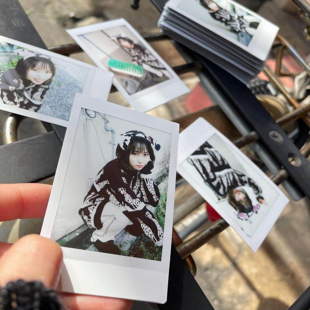 MAINA（小川舞奈）のインスタグラム：「個人オンラインチェキ会 ありがとうございました💜 アーカイブは舞のTwitterにて！！！  めっちゃデコデコできて 嬉しい( ˊ̱˂˃ˋ̱ )  やっぱ少しでも みんなと同じ時間を過ごせてるのが 好きやわ  ほんまにありがとう！  今回のチェキは わんちゃんチェキ🐶  もはや牛説もある。w  #チェキ #チェキのある生活」