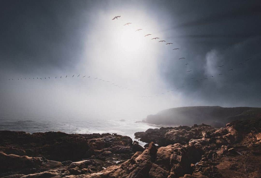 Cole Riseのインスタグラム：「If mars had oceans, i’d imagine it to look like Point Lobos, CA. Another re-edit of a photo taken in 2010. Slowly refreshing the portfolio & website, where you can see this one bigger.」