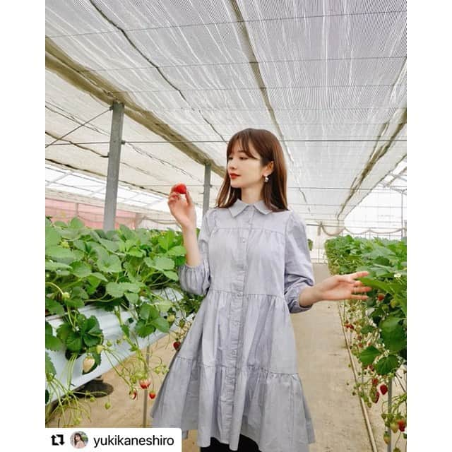 GRLさんのインスタグラム写真 - (GRLInstagram)「【👆画像をタップすると購入できるよ👆】 @_____017rn さん @yukikaneshiro さん @baby___xx12 さん @amoria______ さん @hitomin_1230 さん @marimero1121 さん @__n930 さん @yukii061 さん @amam771 さん @environs31さん にGRL商品着用して頂いております💕 ありがとうございます✨ . @grl_official #グレイル #grl #プチプラ #ootd #fashion #プチプラコーデ #outfit #ファッション #可愛い #かわいい #コーデ #コーディネート #cute #大人カジュアル #カジュアルコーデ#GRL購入品#グレイル購入品#購入品 #ティアードワンピース #テーパードパンツ #ワイドパンツ #おうち時間 #おうちコーデ」4月16日 15時20分 - grl_official