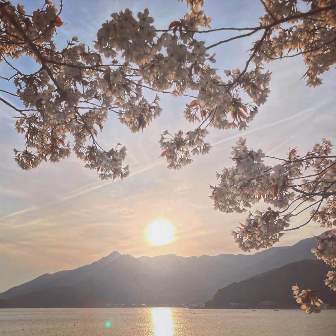 中村アンさんのインスタグラム写真 - (中村アンInstagram)「遠出のロケでまだ桜が見れて嬉しい🗾🌄」4月16日 8時12分 - cocoannne