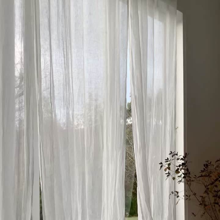 白石明美のインスタグラム：「🌎🍃」