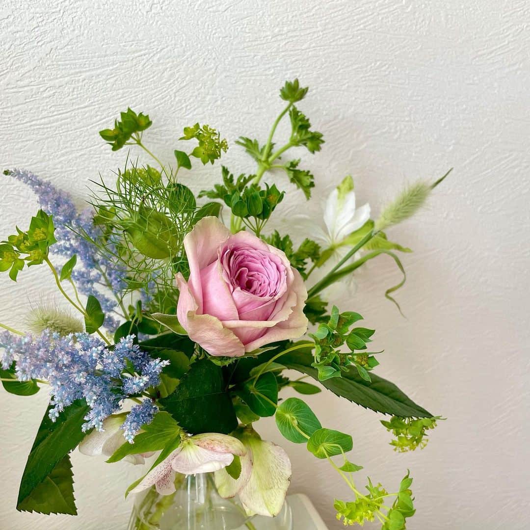 吉井明子さんのインスタグラム写真 - (吉井明子Instagram)「こんにちは☺︎ お部屋にいま飾っているお花です💐  お花屋さんで見かけて、好みの色合いだったのです。綺麗色のくすみカラーとグリーンが美しくて☺️  今は外もお花や新緑が綺麗ですが、お部屋に生花があると、寝る前や起きたときに癒されます✨最後まで綺麗に咲いてくれるよう、たくさん見つめます😍  #お花のある暮らし #気象予報士 #気象キャスター #weatherforecaster #기상캐스터　#吉井明子」4月16日 11時38分 - akiko_yoshii_sunny_rain