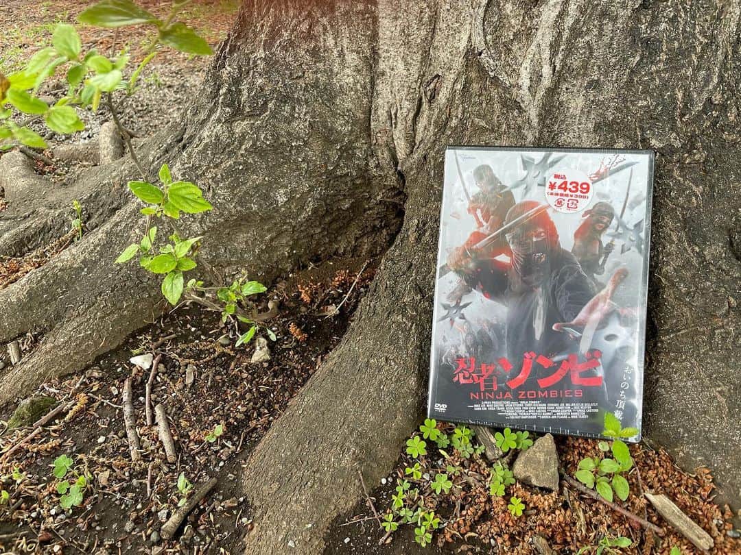 あんこさんのインスタグラム写真 - (あんこInstagram)「ミニストップで買った忍者ゾンビをこの世で1番カッコよく撮ってみました」4月16日 14時43分 - annko.owarai