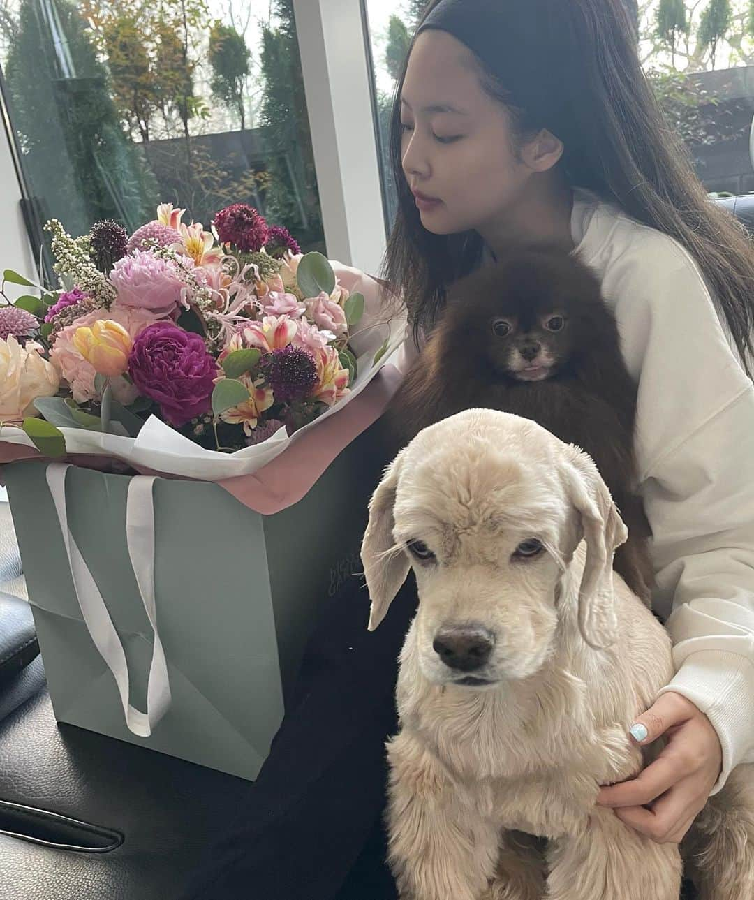 ジェニーさんのインスタグラム写真 - (ジェニーInstagram)「Cute pic of me and dogs taken by mum 💖 Flowers from my @dashingdiva_official team」4月16日 17時34分 - jennierubyjane