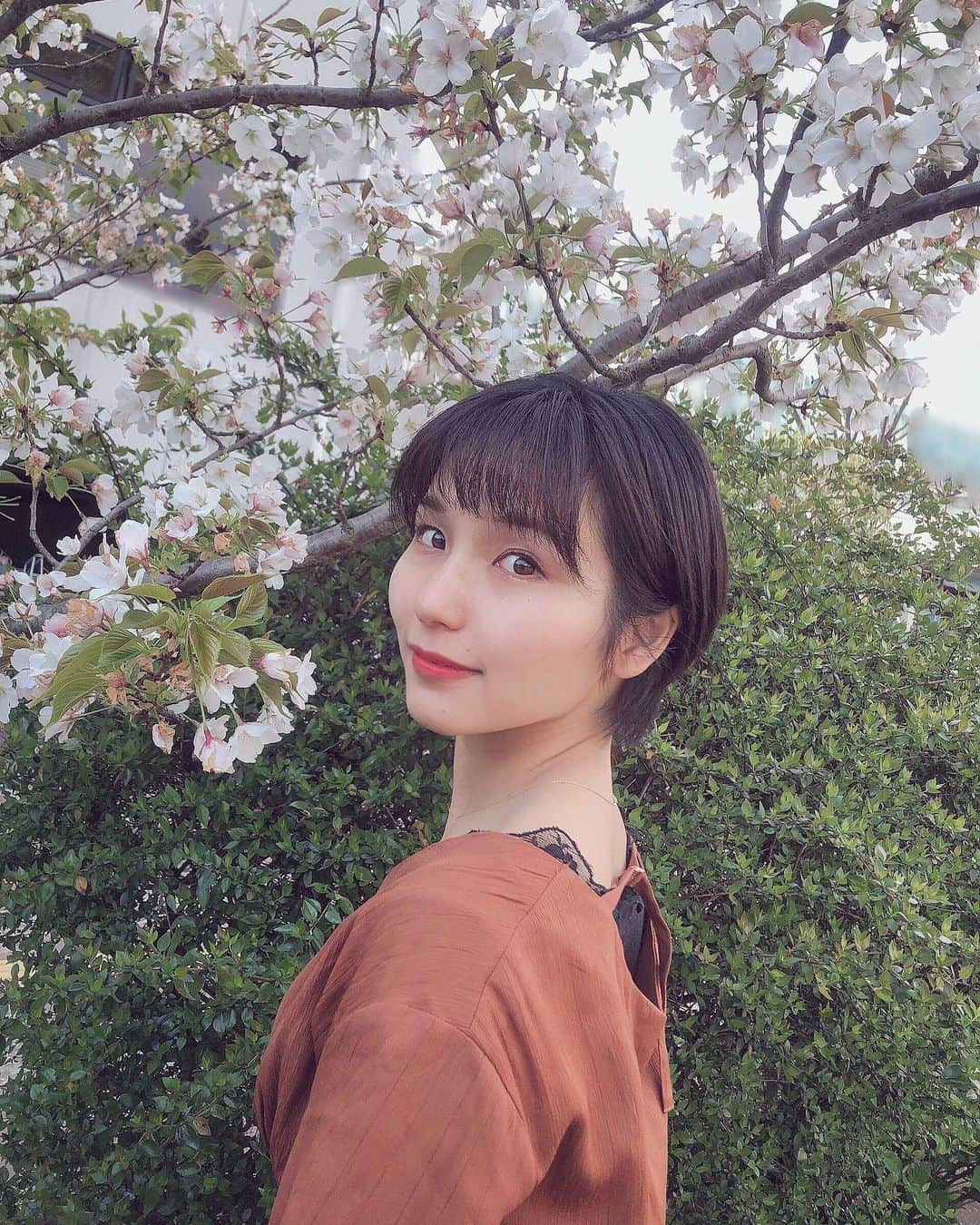 森實りこさんのインスタグラム写真 - (森實りこInstagram)「:﻿ 良い春を過ごしています。﻿ ﻿ #sakura﻿ #sakurablossom」4月16日 20時20分 - ricozane