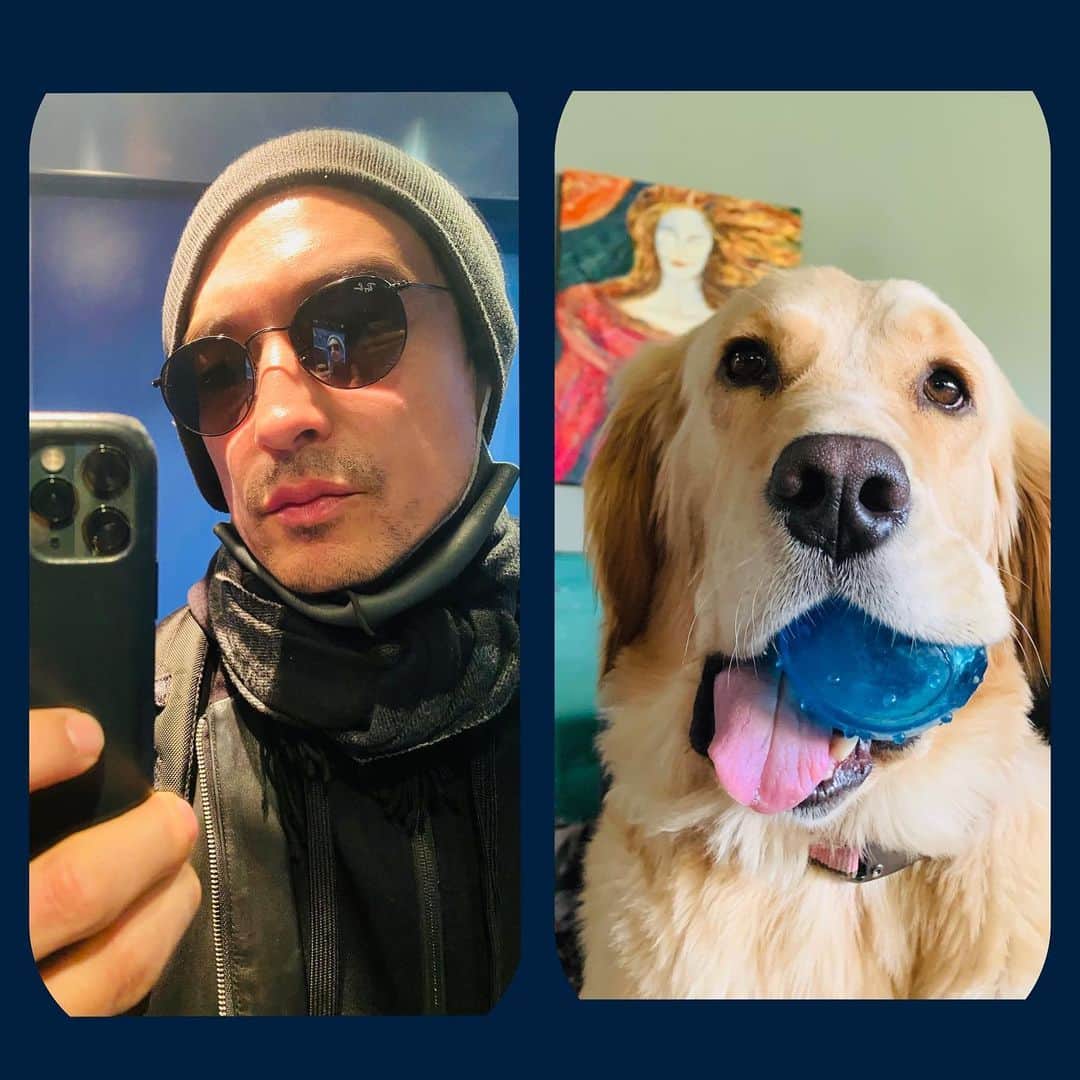 のインスタグラム：「Caption this😊 #julliette #goldenretriever #사지말고입양하세요」