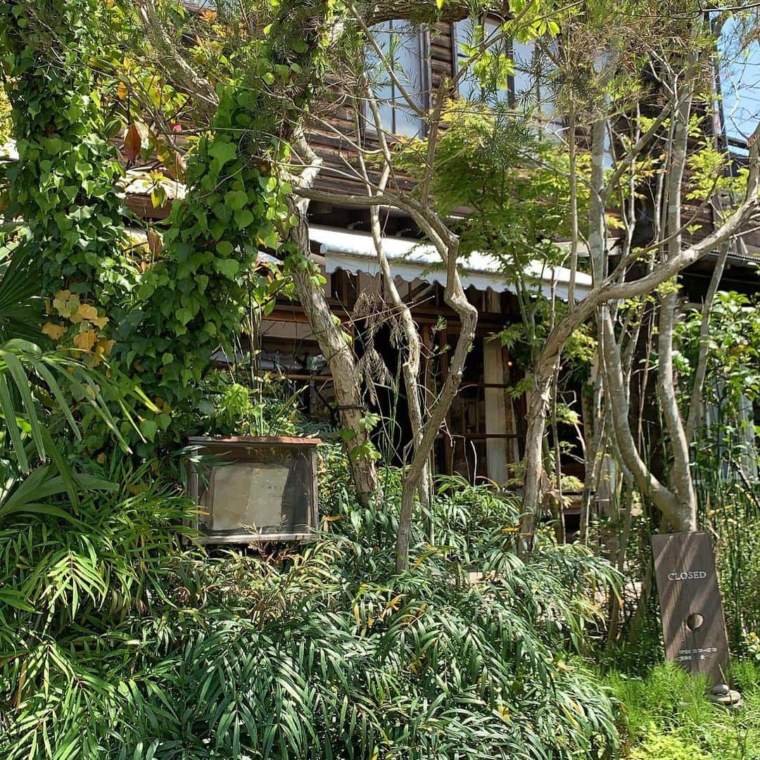 小山莉奈のグルメインスタ