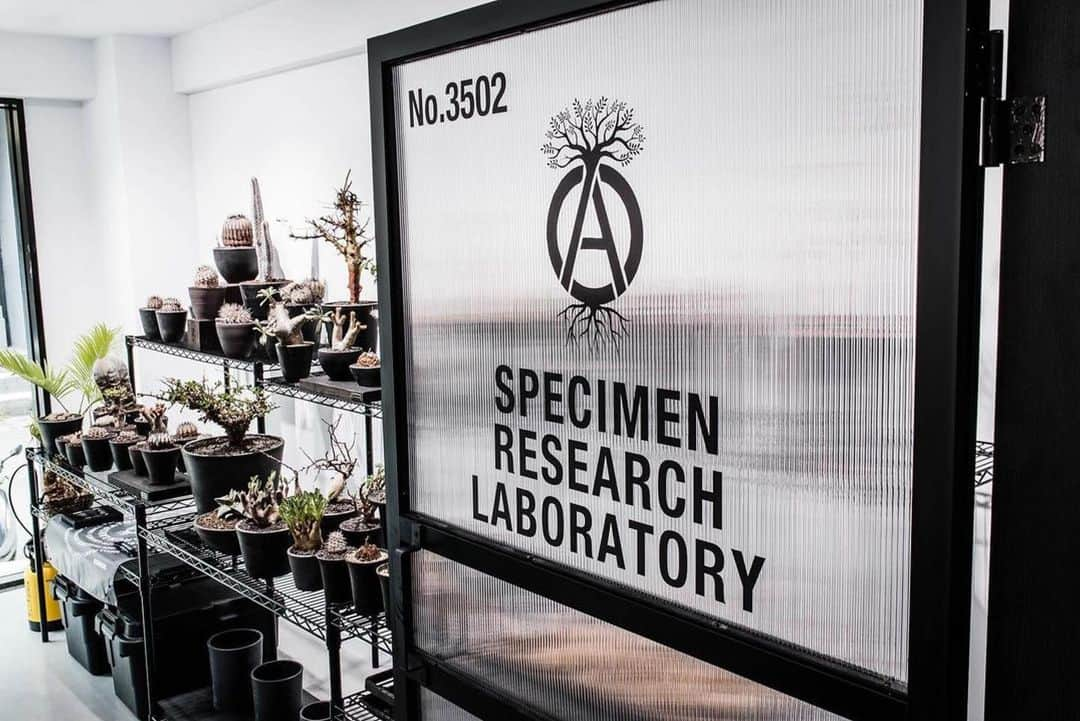 滝沢伸介さんのインスタグラム写真 - (滝沢伸介Instagram)「#Repost @invincible_specialproject ・・・ NEIGHBORHOOD “Specimen Research Laboratory” Pop-up Store at INVINCIBLE SP   @neighborhood_official  @invincible_inc #neighborhood ﻿ #nbhd ﻿ #specimenresearchlaboratory #SRL #invinciblesp #invinciblespecialproject」4月16日 22時02分 - sin_takizawa