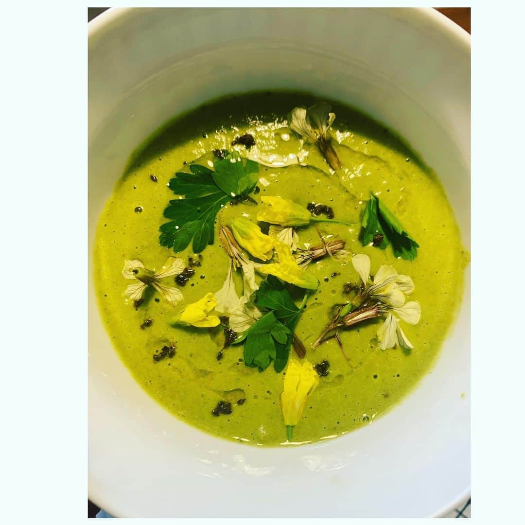 池内博之さんのインスタグラム写真 - (池内博之Instagram)「kale soup 🥬🥄good morning  花も食べられると知り、教えていただいたスープレシピで、育てたケール🥬をいただく。 thank u @sans_deconner   花🌻ケール　　ルッコラ　　 ハーブ🌿　イタリアンパセリ  @ike.s.farm   #organic #kale #soup #flowers #farm #イケ飯 #池飯」4月17日 8時55分 - hiroyuki.ikeuchi