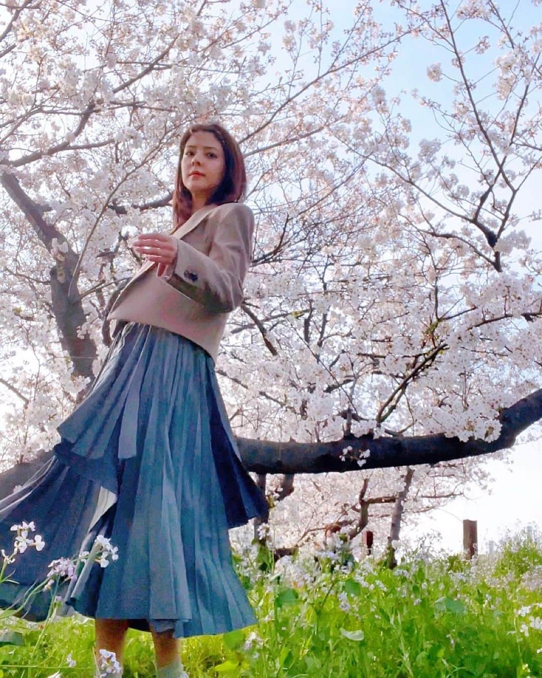 藤井美菜さんのインスタグラム写真 - (藤井美菜Instagram)「. 桜の空🌸 벚꽃 하늘🌸 Cherry blossom sky🌸 #桜#벚꽃#cherryblossom #🌸#美菜私服」4月17日 14時46分 - fujii_mina_0715