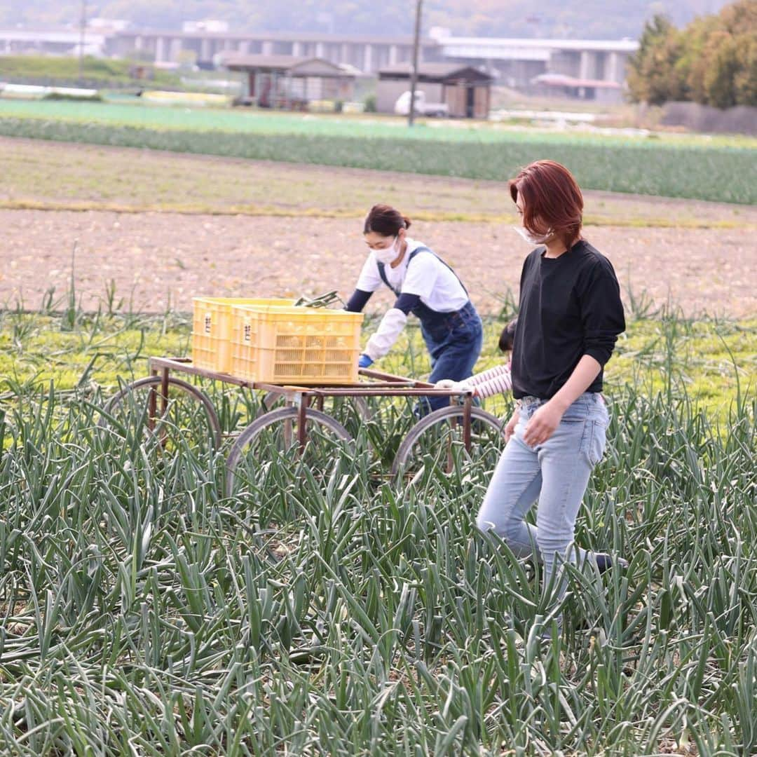 氷川きよしさんのインスタグラム写真 - (氷川きよしInstagram)「さよならだけが　人生じゃない 唄う南風　明日も日が昇る  by kiina  #氷川きよし #hikawakiyoshi #kiinatural #旅サラダ #淡路島 #南風 #kii #bykii #キヨラー」4月17日 15時03分 - hikawa_kiyoshi_official