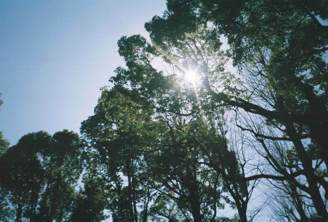 美山加恋さんのインスタグラム写真 - (美山加恋Instagram)「ファンクラブ限定動画 「美山のデイキャンプ」更新されてますー  この日はフィルムカメラ持っていったから写真いっぱい」4月17日 16時20分 - miyamakaren