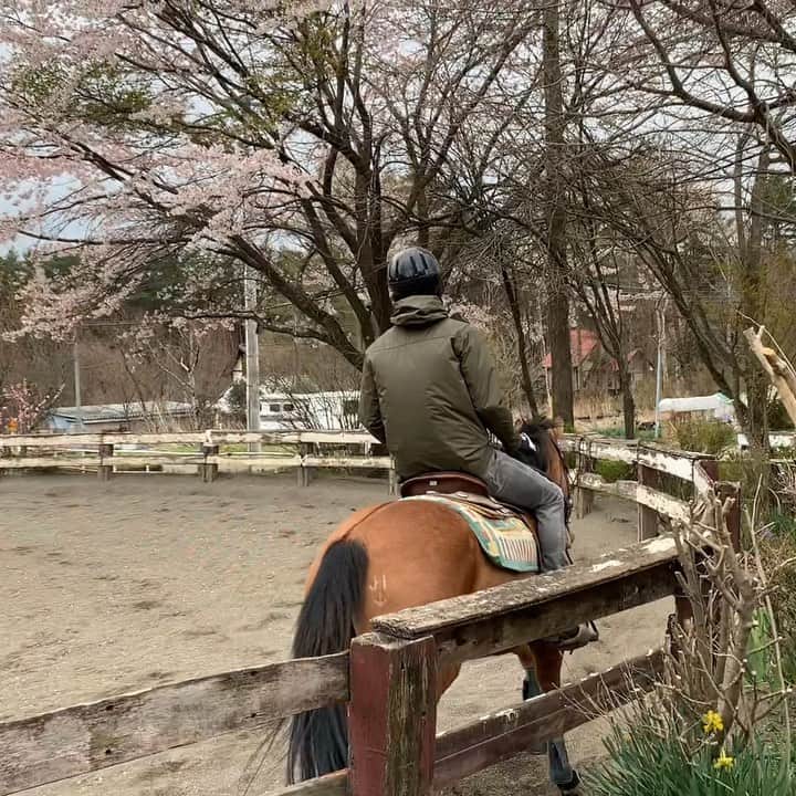 松藤和成のインスタグラム：「手放し運転ってガキの頃チャリでよくやったもんだが、生き物でやるのは勝手が違うよな🐎そりゃそーだ。 足がつりました。  #馬 #乗馬」