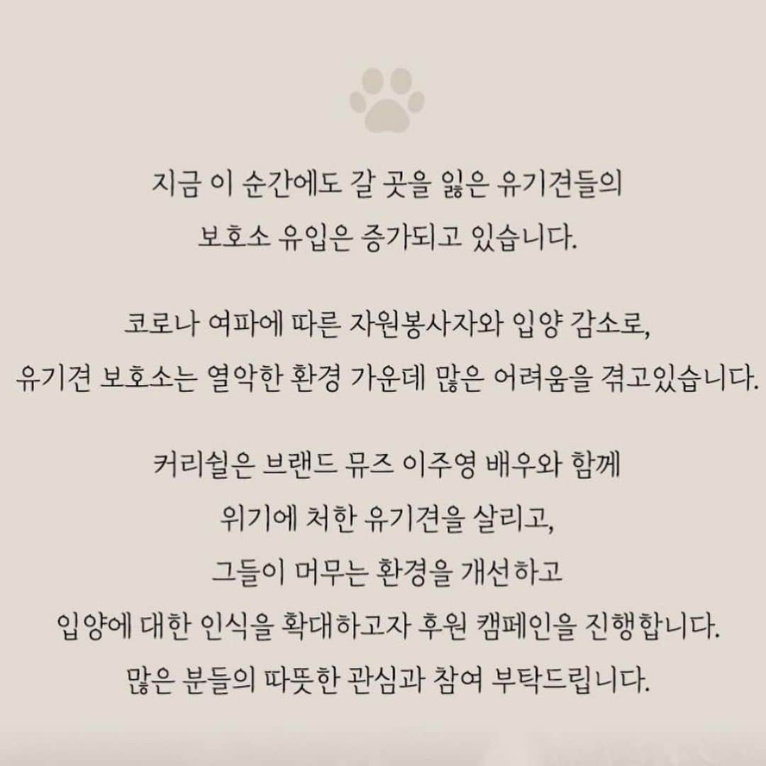 イ・ジュヨンさんのインスタグラム写真 - (イ・ジュヨンInstagram)「4월 20일 저녁 8시 커리쉴과 좋은 기회로 유기견 기부행사를 진행합니다. 코로나로 오프라인 행사가 어려운 지금 온라인 팬미팅으로라도 만나요 우리!!!🧡  네이버라이브 링크👇🏻 https://shoppinglive.naver.com/livebridge/114691」4月17日 17時58分 - i_icaruswalks