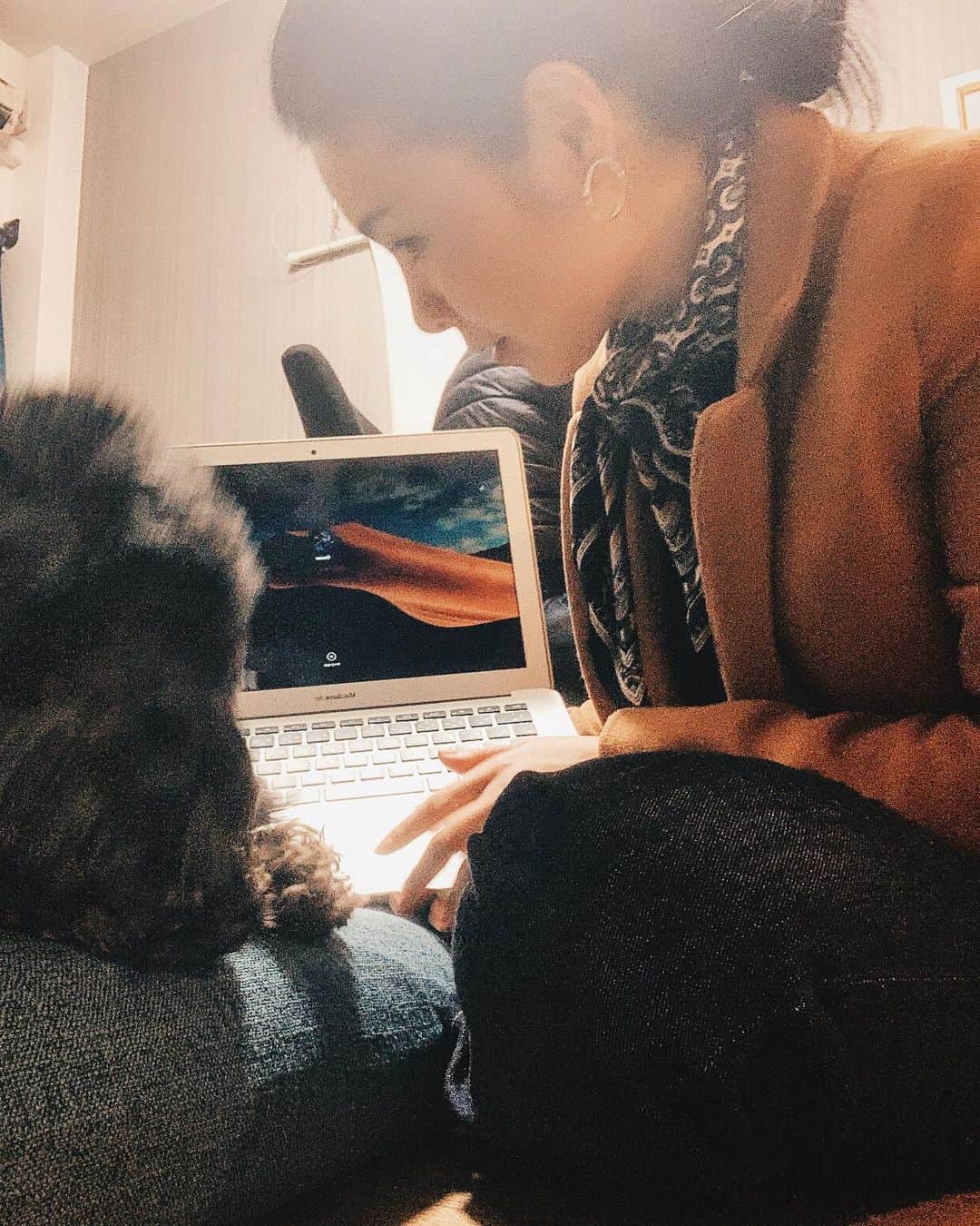 のインスタグラム：「最近はピーシェルと バリバリお仕事してます‼︎✨  ピシェの顔が ブレすぎて 何か分からん感じに なっとるけどw  いつまでもくよくよしてちゃいけない事は、 一度Justinに教えられたから、 もう強くなったから、 こういう時どうやって前を向いて行けば良いか、 身を持って学んだから、 だから大丈夫‼︎  私は２人の分まで 精一杯生きなきゃいけない 使命を貰ったので、 頑張ります‼️  たまに2人の事を思い出しながら、 それを糧に 頑張れます！ ありがとう‼︎  #mywork #お仕事  #犬と仕事 #命から学んだこと #2人の分まで生きる #精一杯頑張ります  #コロナに負けない」