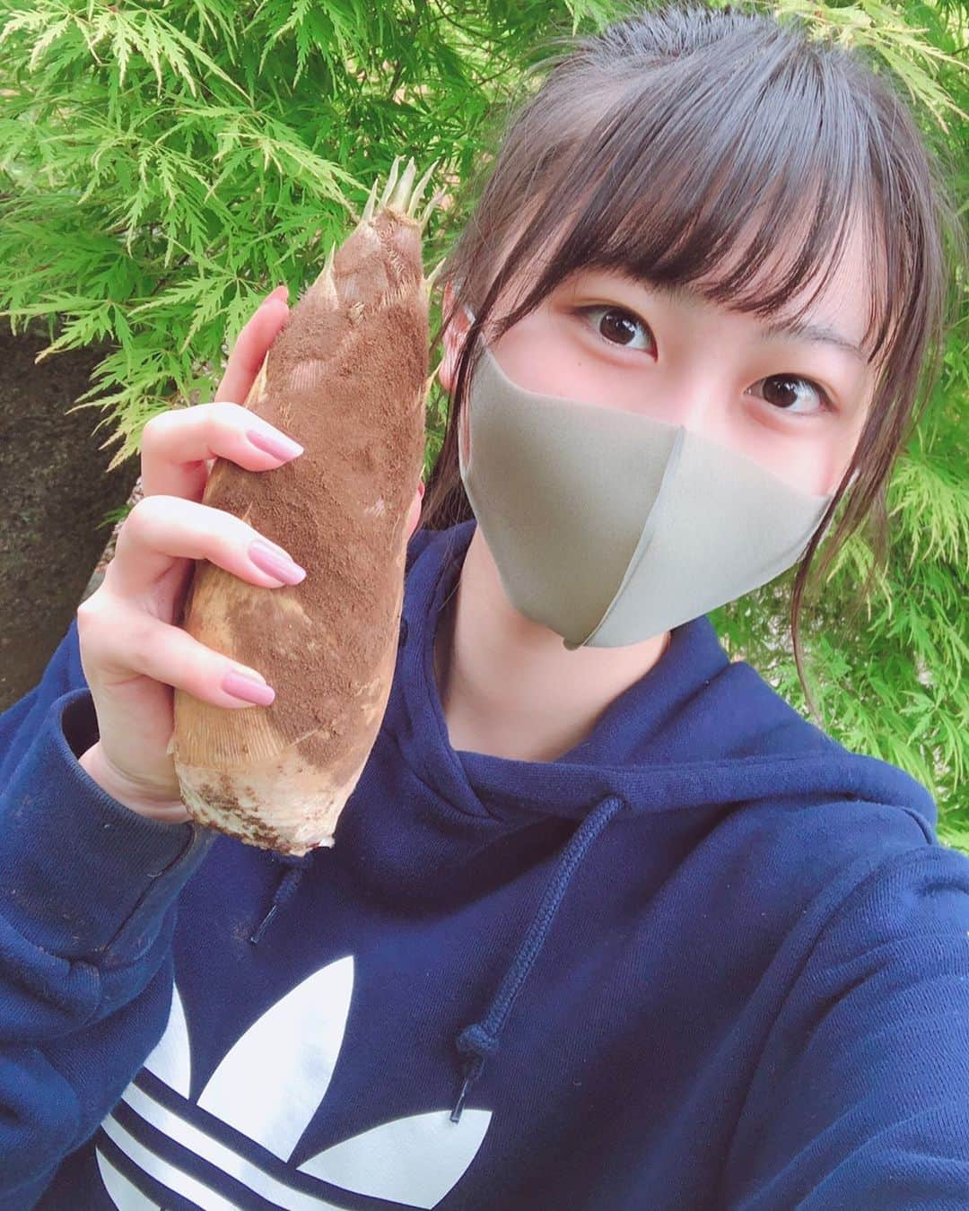 藤田愛理のインスタグラム：「・ おばあちゃんとたけのこ掘りしてきた！！！ 楽しかった😳✨」