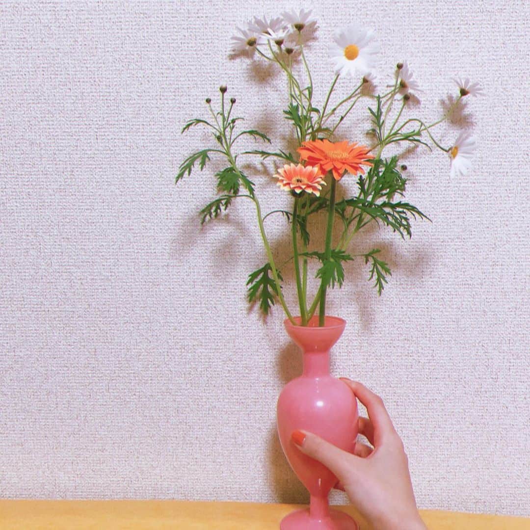石田桃香さんのインスタグラム写真 - (石田桃香Instagram)「最近の新入り花瓶🌷かわいい ついつい入れすぎちゃう癖あるわたし 綺麗なものは詰め込みたくなる」4月17日 20時55分 - isd_momoka