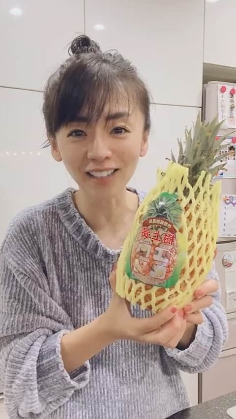 佐々木梨絵のインスタグラム：「娘たちが大好きな台湾パイナップル🍍 とっても美味しかったです🥰  台湾パイナップルは芯も美味しいんです！ 芯は冷凍してジャムを作ろうと思います♪  私は日台友好議連に入っています🤝  台湾からは東日本大震災をはじめ、何度もご支援をいただいています。  皆さんも台湾パイナップルをぜひ食べてみてくださいね！  台湾の皆さんにも、日本の福島の美味しい農産物を早く食べていただきたいですね☺️  #台湾 #日台友好 #台湾パイナップルを食べよう #大阪市会議員 #大阪維新の会 #佐々木りえ」