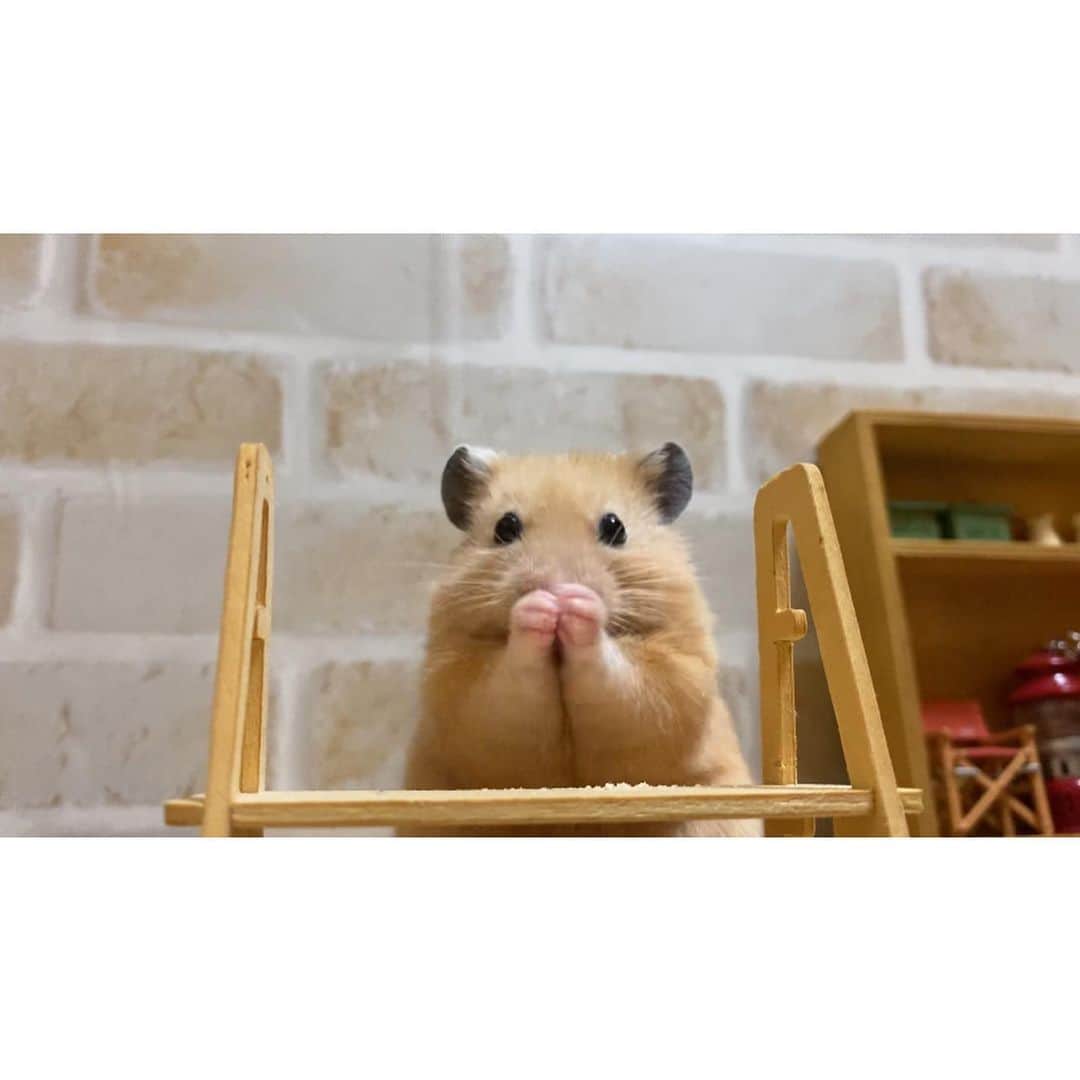 Mitsuyoのインスタグラム