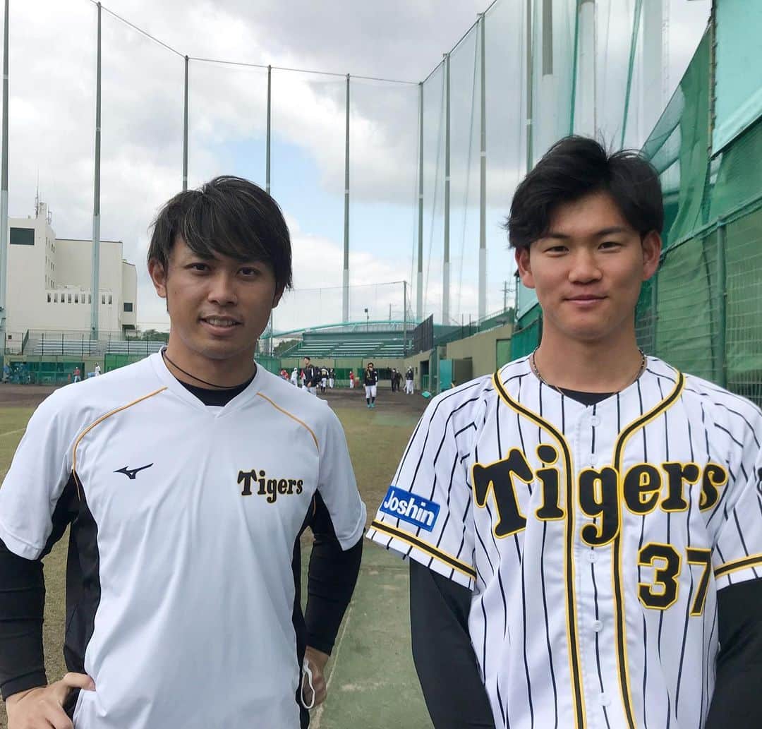 阪神タイガースのインスタグラム