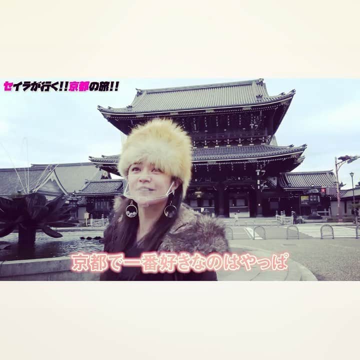 加賀美セイラのインスタグラム：「#京都 行ってきたんゃどす〜 やっぱ　#清水寺　素敵どすぅ🥰パワーもろぉてきたどょ〜　#変な京都弁やめぃ 😝💦 YouTube upしたので観て登録プリプリプリーズんぶれいく　#⛩⛩⛩ #プリズンブレイク好きゃねん #LOVE #KYOTO #JAPAN VISITING MY FAVORITE TEMPLE #KIYOMIZUDERA_TEMPLE⛩ On my new YouTube 👍LIKE & SUBSCRIBE🤟  https://youtu.be/oIT_UTtoPLk」