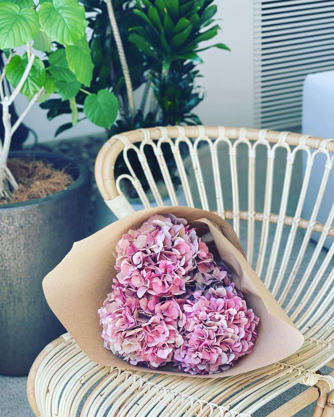 神崎恵さんのインスタグラム写真 - (神崎恵Instagram)「仕事部屋の撮影から始まり、お花がいっぱいだった週。 大切なひとに選んだお花たちは　@logiplantsandflowers にお願いしました。 logiらしい、大胆で鮮やかな花束。一見ハッとするほど力強さを感じるのに、繊細さもあって。 ウエディングのブーケもお願いをしたほど、大好きなお店。 1枚目の紫陽花は毎月何度も足を運ぶ　@matilda_nakameguro で💠💠💠  気持ちのいい日曜日。 今日は久しぶりのライブ、楽しみにしています☺️ 夕方くらいです⏳」4月18日 12時10分 - megumi_kanzaki