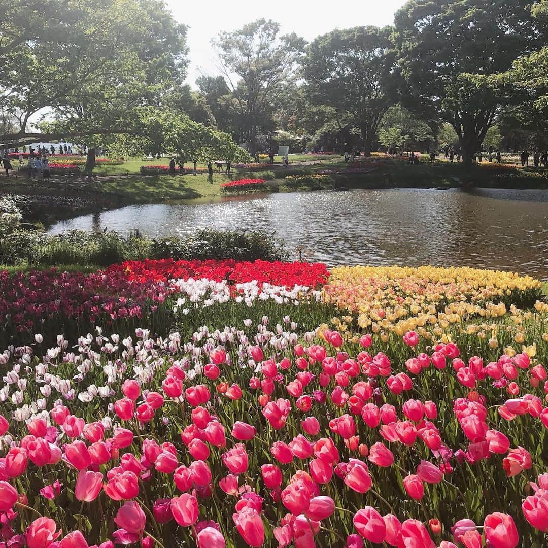 えるにーにょさんのインスタグラム写真 - (えるにーにょInstagram)「昭和記念公園来たよ〜！」4月18日 15時57分 - erun1nyo
