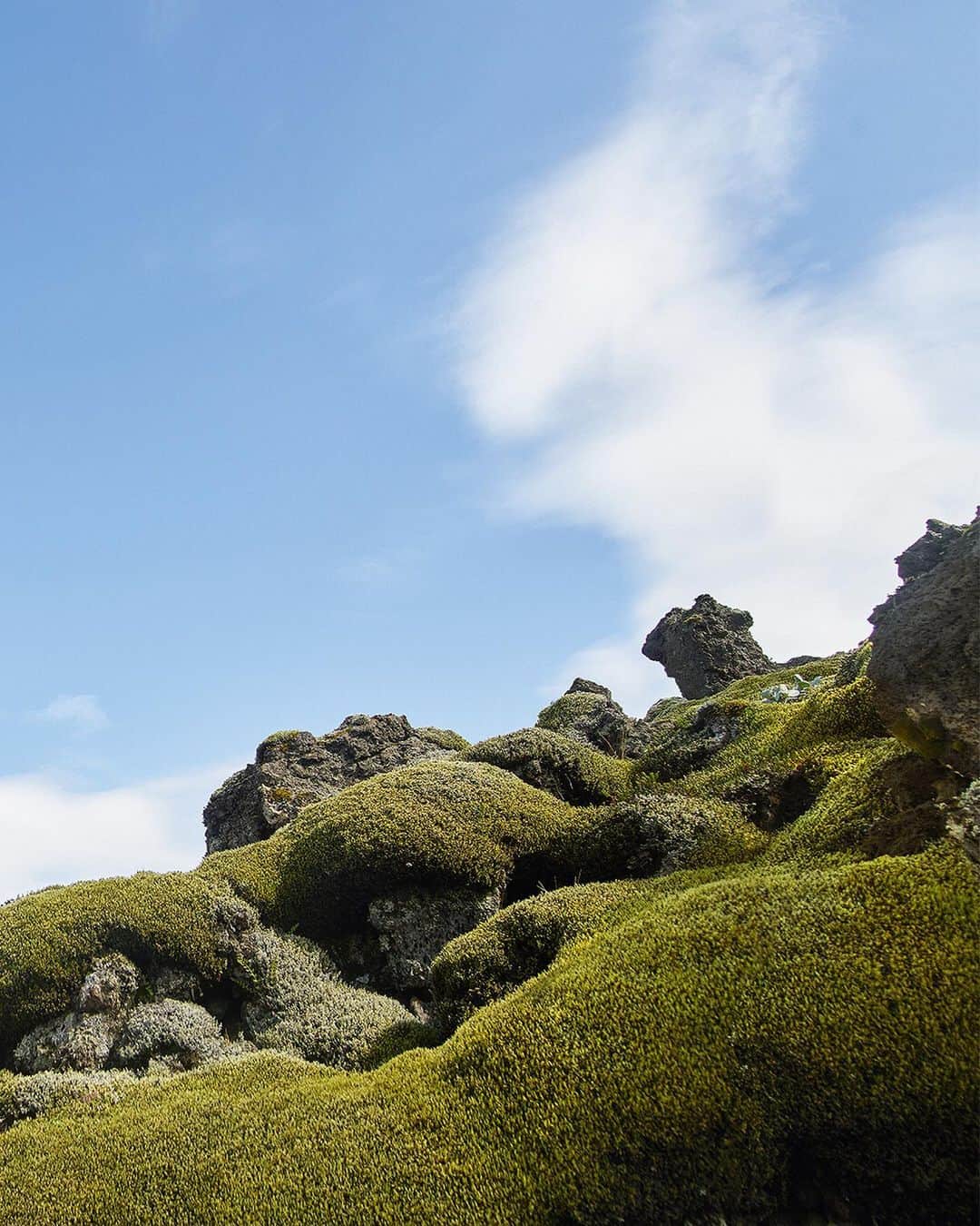 ルイ・ヴィトンさんのインスタグラム写真 - (ルイ・ヴィトンInstagram)「Reaching further. #LouisVuitton celebrates the curiosity for what lies both beyond and within that sparks every journey. Explore the campaign shot by Viviane Sassen in Iceland via link in bio. #SpiritOfTravel @vivianesassenstudio」4月18日 16時02分 - louisvuitton