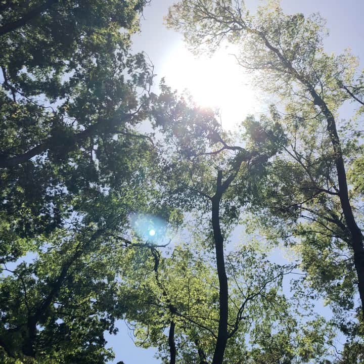 亀田誠治のインスタグラム：「柔らかな春の1日です。 😊」