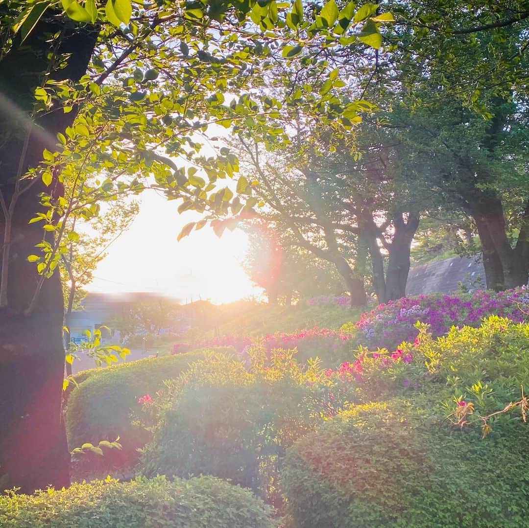 古村比呂のインスタグラム：「散歩にて ターシャ・テューダーのお庭に来ちゃった。いい陽だ♡  #古村比呂#ターシャテューダー#お庭 #いい陽気」