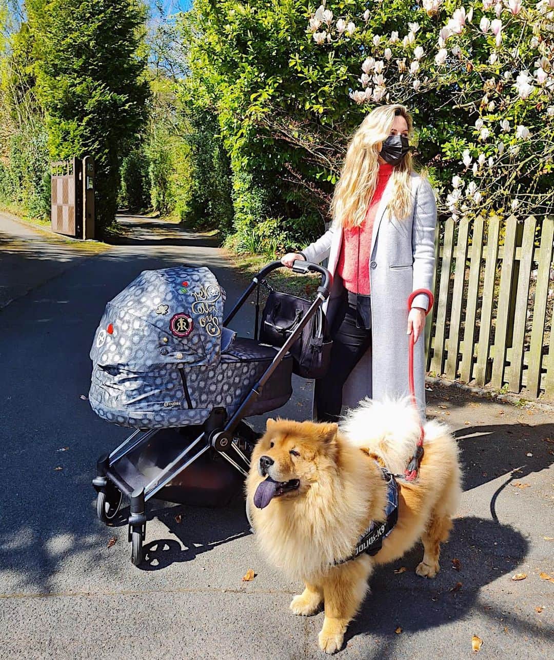 のインスタグラム：「Paseito dominguero!! 🥰👶🏼🦁」