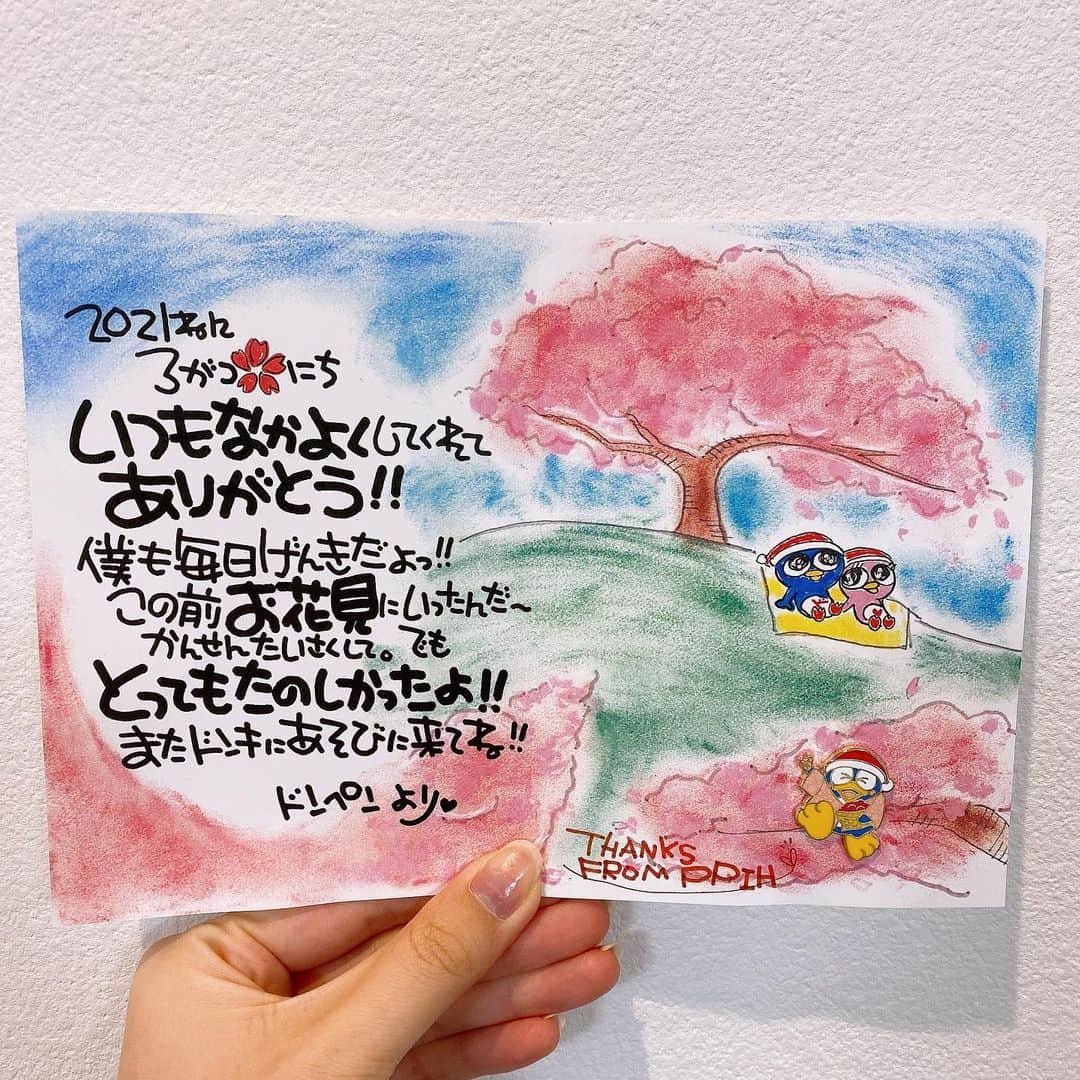 サラさんのインスタグラム写真 - (サラInstagram)「ドンペンからお手紙とピンバッチきた🐧🌸」4月18日 19時12分 - sara_parin