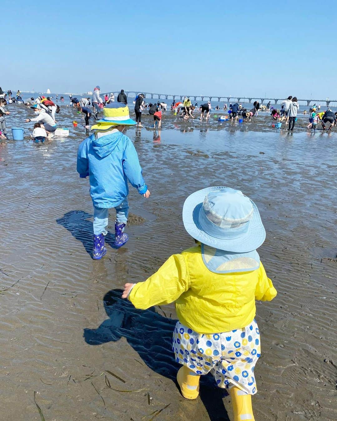 千北英倫子のインスタグラム：「. 一歳半、初めての海へ🏖🐚 . 母は久しぶりにアドレナリン放出 集中しすぎて砂に埋まる子をほったらかしにして叱られる🙄 . . 小学校で学ぶ理科社会は「あ〜それ知ってる」と思ってもらえたらラッキーなので、行く前後は必ず図書館本 . やっぱり経験と知識が融合したときの反応は全然違う👏🏻👏🏻👏🏻ありがとう図書館‼︎ . . #春は潮干狩り #秋はフルーツ狩り 半年前はまだ歩けなかった🥺 #今週の図書館本」