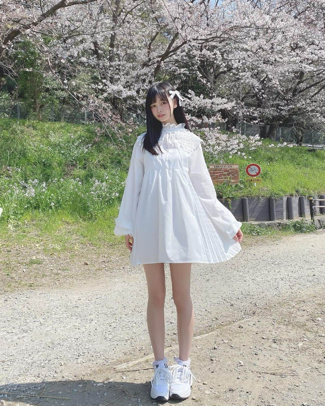 AIRIさんのインスタグラム写真 - (AIRIInstagram)「春の多摩川🌸  #PiXMiX #アイドル #idol #偶像 #海 #緑 #葉っぱ #桜 #春 #17歳 #17 #4月 #自然 #白ワンピ #ワンピース #多摩川 #ファッション #コーデ  #sjk  #April #cherryblossom #Spring #seventeen #生日 #十七岁 #高校生 #jk #sjk #fashion #code #tamagawa」4月18日 19時56分 - aylin200442