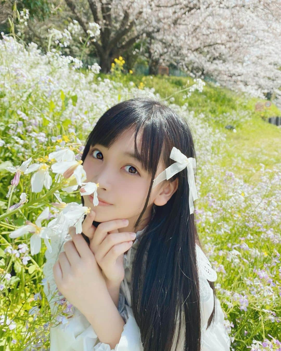 AIRIさんのインスタグラム写真 - (AIRIInstagram)「春の多摩川🌸  #PiXMiX #アイドル #idol #偶像 #海 #緑 #葉っぱ #桜 #春 #17歳 #17 #4月 #自然 #白ワンピ #ワンピース #多摩川 #ファッション #コーデ  #sjk  #April #cherryblossom #Spring #seventeen #生日 #十七岁 #高校生 #jk #sjk #fashion #code #tamagawa」4月18日 19時56分 - aylin200442