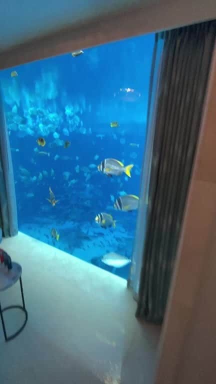 スティーブ・クックのインスタグラム：「Atlantis Dubai underwater suite」
