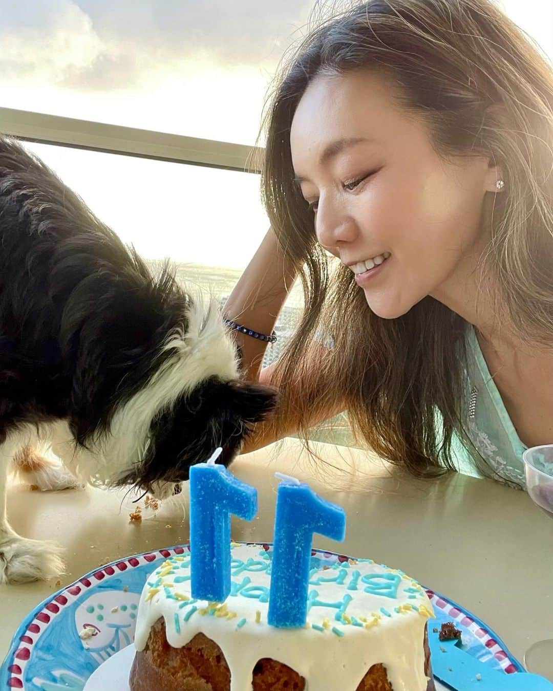 和央ようかさんのインスタグラム写真 - (和央ようかInstagram)「Today my Dondon🐶 is 11 years old 🐶 Happy Birthday my beautiful baby 🐶  今日5月16日はマイベイビーどんどん🐶の11歳のお誕生日🎂🎉 朝からお風呂🛀に入り、ケーキを買いに行き、家族でどんどん🐶のバースデーパーティー🎉 去年はロックダウン中のNYセントラルパークでお祝いしたね😊 いつも、幸せを有難うどんどん🐶💕もっともっと幸せにするね  #takakoworldstylin🌎 #takakohawaiistylin🏝 #lifestyle#hawaii#happybirthday #dondon🐶#どんどん🐶#chihuahua #チワワ#家族写真」5月17日 18時34分 - yokawao0215