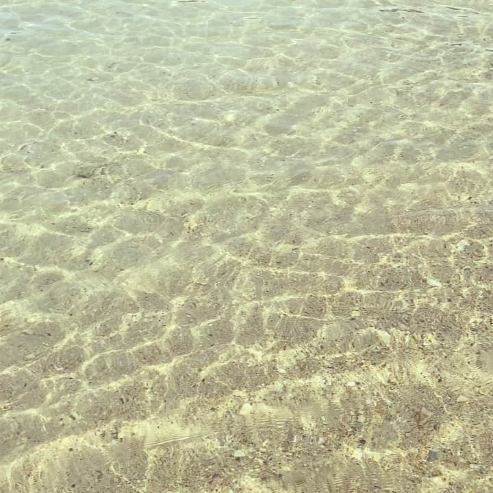 仲宗根泉のインスタグラム